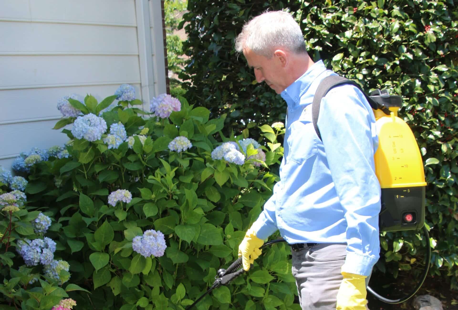 Better Termite technician applying perimeter pest treatment at a brick Colonial home in Arlington, VA near Ashton Heights