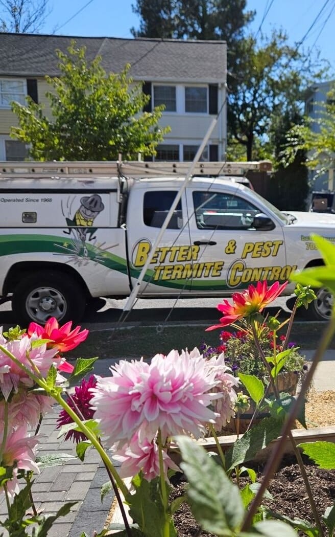 Better Termite & Pest Control service truck ready for pest treatment in Arlington and Northern Virginia