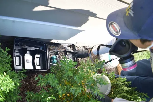 Point of view shot of technician checking rodent bait station