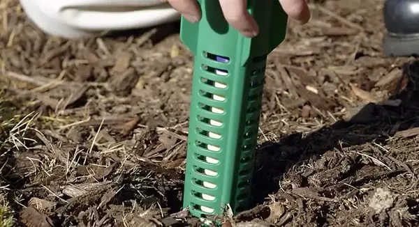 Sentricon termite bait stations being installed in soil