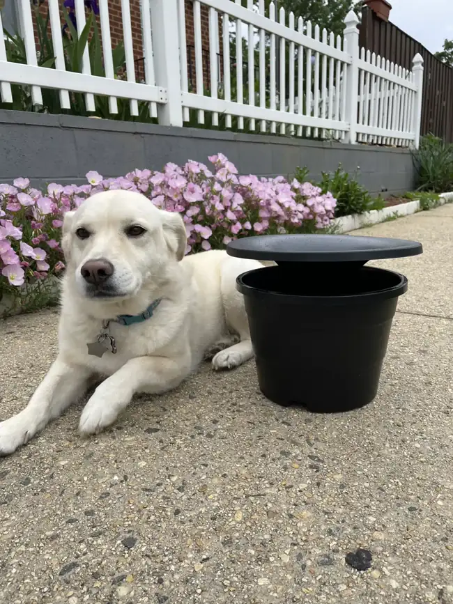 Image of In2Care mosquito control system