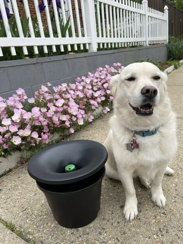 In2Care mosquito control station