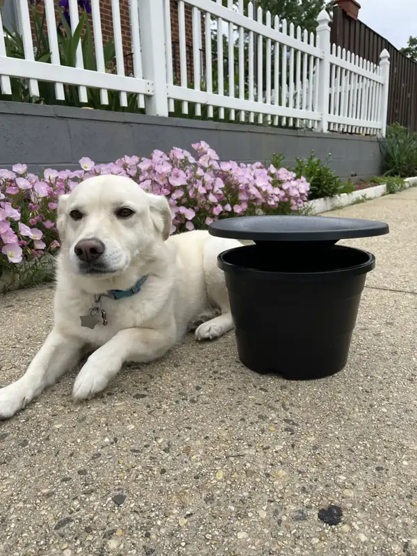 Image of In2Care mosquito control system