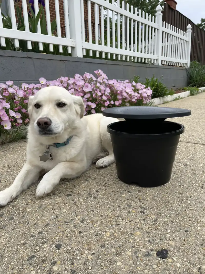 Image of In2Care mosquito control system