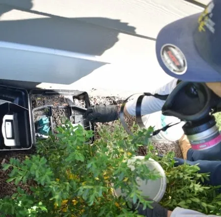 Rodent bait station inspection