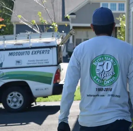 Backyard in Alexandria during an inspection