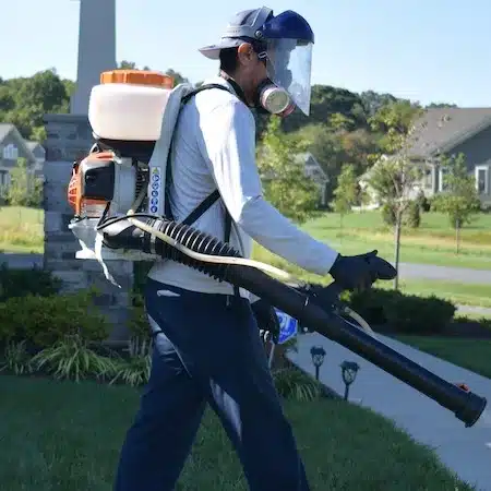 Backpack mosquito treatment along shaded landscaping