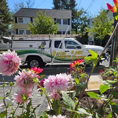 Flower delivery truck in Alexandria street