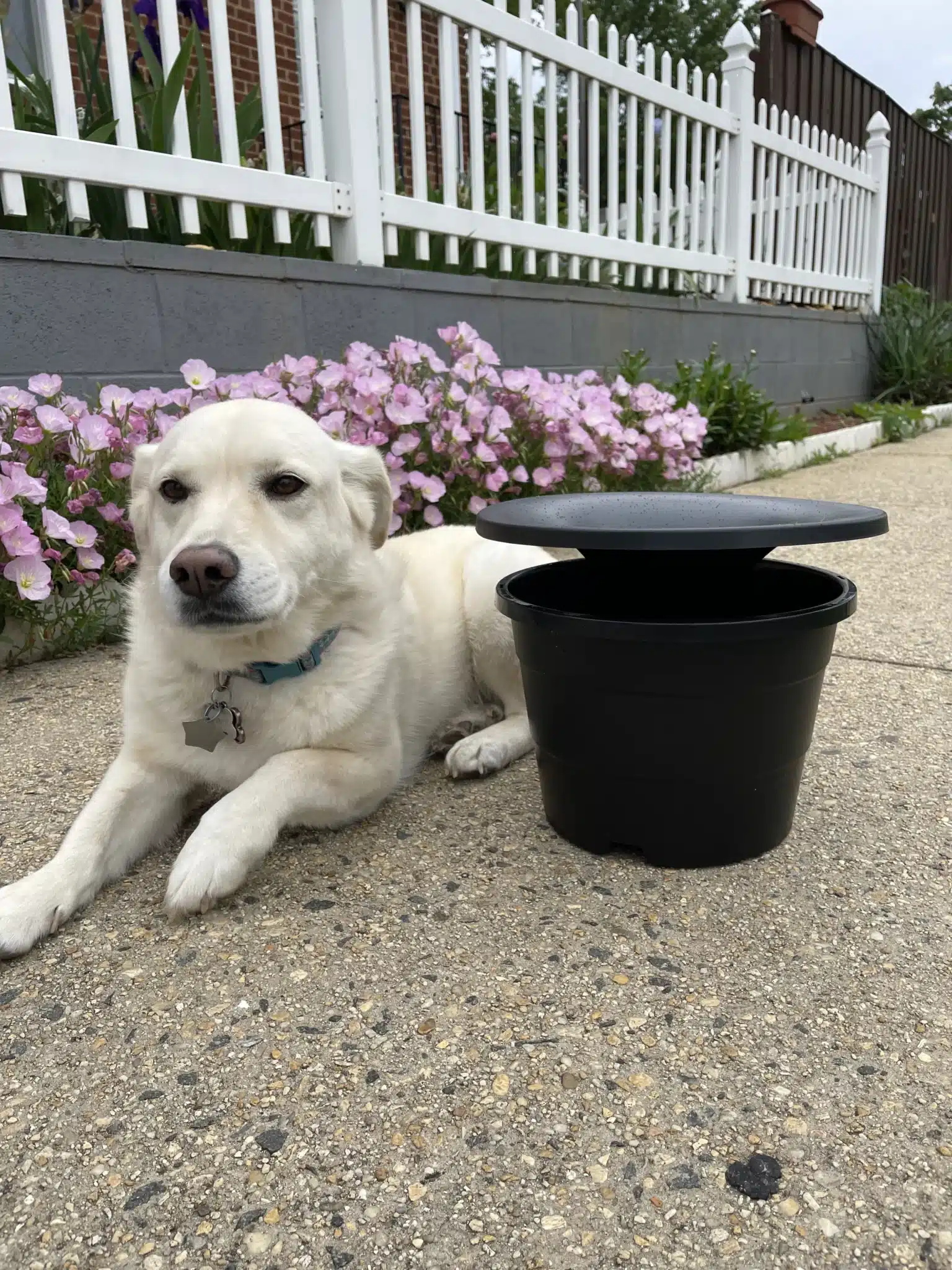 Image of In2Care mosquito control system