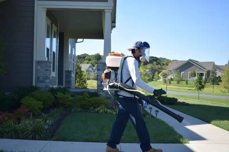 Complete Guide to Termite Inspection for Home Purchase