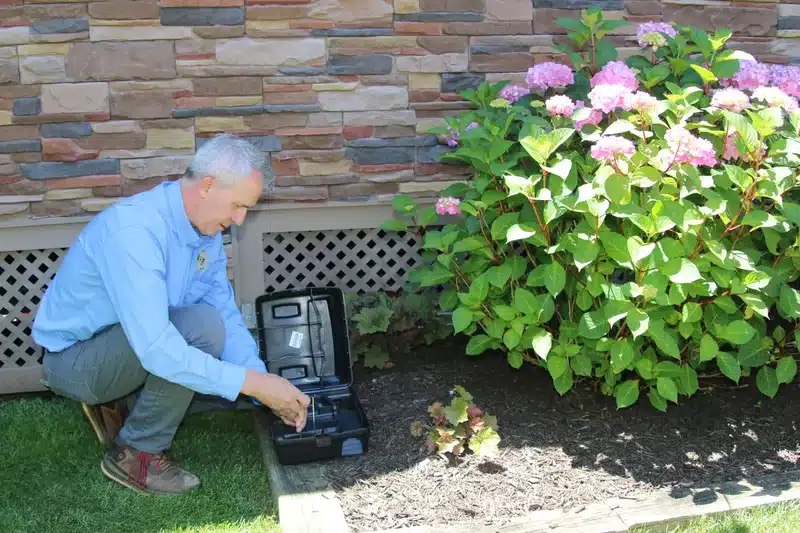 Better Termite technician checking a rodent bait station during a follow-up visit