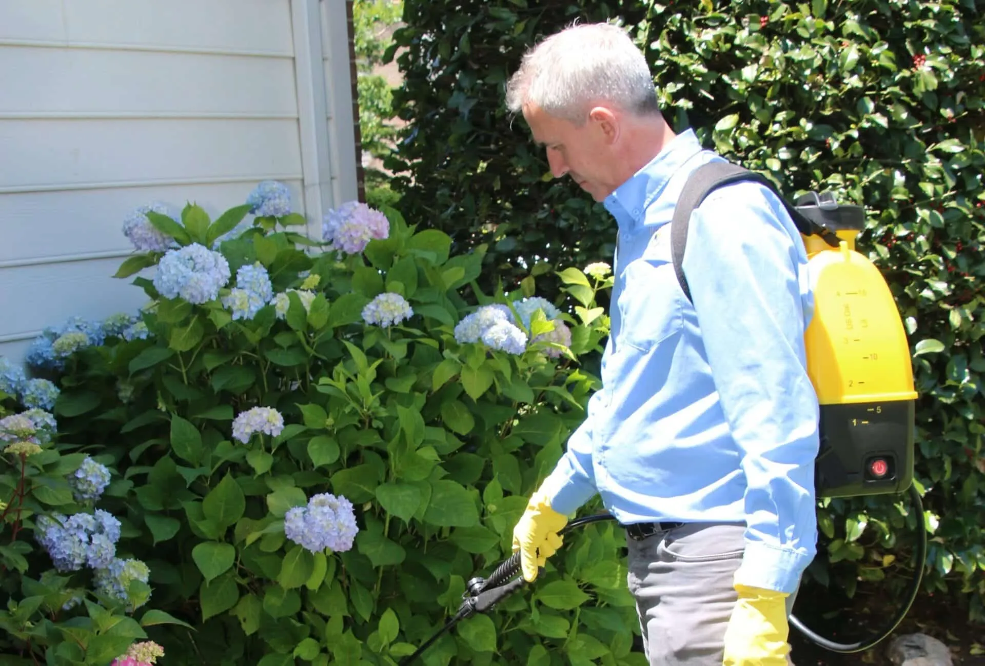 Better Termite technician spraying perimeter pest treatment around a Northern Virginia home with flowers in the foreground